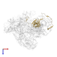 Transcription factor IIIB 70 kDa subunit in PDB entry 6f42, assembly 1, top view.