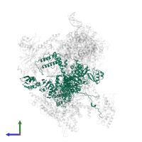 DNA-directed RNA polymerase III subunit RPC1 in PDB entry 6f42, assembly 1, side view.