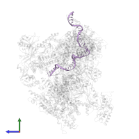 Non-template DNA in PDB entry 6f42, assembly 1, side view.