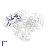 DNA-directed RNA polymerases I and III subunit RPAC1 in PDB entry 6f42, assembly 1, top view.