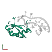 U1 small nuclear ribonucleoprotein A in PDB entry 6f4h, assembly 1, front view.