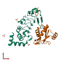 Hetero dimeric assembly 1 of PDB entry 6f4j coloured by chemically distinct molecules, front view.