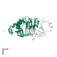 Probable U2 small nuclear ribonucleoprotein A' in PDB entry 6f4j, assembly 2, top view.