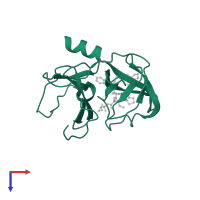 Peptidase S29 domain-containing protein in PDB entry 6fe6, assembly 1, top view.