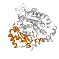 The deposited structure of PDB entry 6fii contains 2 copies of Pfam domain PF03953 (Tubulin C-terminal domain) in Tubulin alpha-1B chain. Showing 1 copy in chain C.