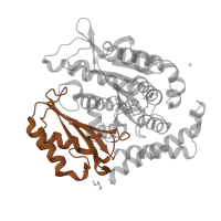 The deposited structure of PDB entry 6fii contains 2 copies of CATH domain 3.30.1330.20 (60s Ribosomal Protein L30; Chain: A;) in Tubulin beta-2B chain. Showing 1 copy in chain B.