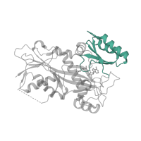 The deposited structure of PDB entry 6fii contains 1 copy of CATH domain 3.30.1490.20 (Dna Ligase; domain 1) in Tubulin tyrosine ligase. Showing 1 copy in chain F.