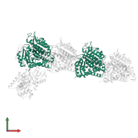 Tubulin alpha-1B chain in PDB entry 6fjf, assembly 1, front view.