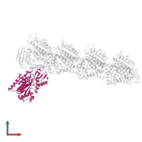 Tubulin tyrosine ligase in PDB entry 6fjf, assembly 1, front view.