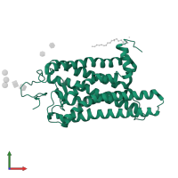 Rhodopsin in PDB entry 6fkb, assembly 1, front view.