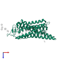 Rhodopsin in PDB entry 6fkb, assembly 1, top view.