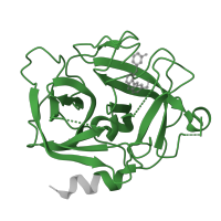 The deposited structure of PDB entry 6fug contains 6 copies of Pfam domain PF00089 (Trypsin) in Complement factor D. Showing 1 copy in chain C.