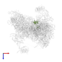 Eukaryotic translation initiation factor 1A in PDB entry 6fyx, assembly 1, top view.