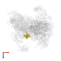 40S ribosomal protein S7 in PDB entry 6fyy, assembly 1, top view.