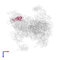 40S ribosomal protein S8 in PDB entry 6fyy, assembly 1, top view.