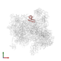 Small ribosomal subunit protein uS15 N-terminal domain-containing protein in PDB entry 6fyy, assembly 1, front view.