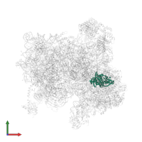 tRNAi in PDB entry 6fyy, assembly 1, front view.