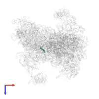 40S ribosomal protein S30 in PDB entry 6fyy, assembly 1, top view.