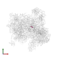 Small ribosomal subunit protein eS32A in PDB entry 6fyy, assembly 1, front view.