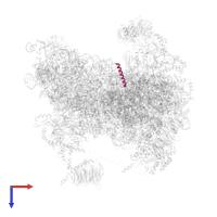 Small ribosomal subunit protein eS32A in PDB entry 6fyy, assembly 1, top view.