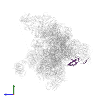 Eukaryotic translation initiation factor 2 subunit beta in PDB entry 6fyy, assembly 1, side view.