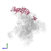 Eukaryotic translation initiation factor 3 subunit C in PDB entry 6fyy, assembly 1, side view.