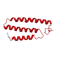 The deposited structure of PDB entry 6g72 contains 1 copy of CATH domain 1.10.287.3510 (Helix Hairpins) in NADH-ubiquinone oxidoreductase chain 4L. Showing 1 copy in chain K.