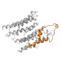 The deposited structure of PDB entry 6g72 contains 1 copy of Pfam domain PF06444 (NADH dehydrogenase subunit 2 C-terminus) in NADH-ubiquinone oxidoreductase chain 2. Showing 1 copy in chain N.