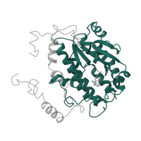 The deposited structure of PDB entry 6g72 contains 1 copy of Pfam domain PF01712 (Deoxynucleoside kinase) in NADH dehydrogenase [ubiquinone] 1 alpha subcomplex subunit 10, mitochondrial. Showing 1 copy in chain O.