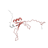 The deposited structure of PDB entry 6g72 contains 1 copy of Pfam domain PF04800 (NADH dehydrogenase ubiquinone Fe-S protein 4) in NADH dehydrogenase [ubiquinone] iron-sulfur protein 4, mitochondrial. Showing 1 copy in chain Q.