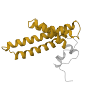 The deposited structure of PDB entry 6g72 contains 1 copy of Pfam domain PF02466 (Tim17/Tim22/Tim23/Pmp24 family) in NADH dehydrogenase [ubiquinone] 1 alpha subcomplex subunit 11. Showing 1 copy in chain Y.