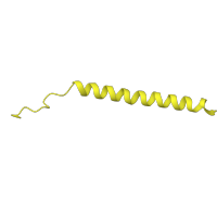 The deposited structure of PDB entry 6g72 contains 1 copy of Pfam domain PF15088 (NADH dehydrogenase [ubiquinone] 1 subunit C1, mitochondrial) in NADH dehydrogenase [ubiquinone] 1 subunit C1, mitochondrial. Showing 1 copy in chain CA [auth c].