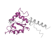 The deposited structure of PDB entry 6g72 contains 1 copy of Pfam domain PF01058 (NADH ubiquinone oxidoreductase, 20 Kd subunit) in NADH dehydrogenase [ubiquinone] iron-sulfur protein 7, mitochondrial. Showing 1 copy in chain B.