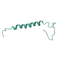 The deposited structure of PDB entry 6g72 contains 1 copy of Pfam domain PF08040 (MNLL subunit) in NADH dehydrogenase [ubiquinone] 1 beta subcomplex subunit 1. Showing 1 copy in chain FA [auth f].