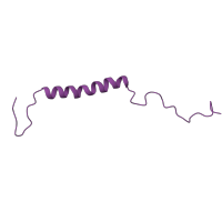 The deposited structure of PDB entry 6g72 contains 1 copy of Pfam domain PF14813 (NADH dehydrogenase 1 beta subcomplex subunit 2) in NADH dehydrogenase [ubiquinone] 1 beta subcomplex subunit 2, mitochondrial. Showing 1 copy in chain JA [auth j].