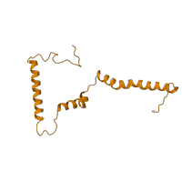 The deposited structure of PDB entry 6g72 contains 1 copy of Pfam domain PF07225 (NADH-ubiquinone oxidoreductase B15 subunit (NDUFB4)) in NADH dehydrogenase [ubiquinone] 1 beta subcomplex subunit 4. Showing 1 copy in chain MA [auth m].