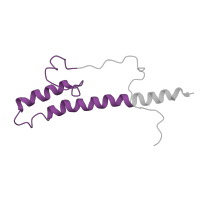 The deposited structure of PDB entry 6g72 contains 1 copy of Pfam domain PF05676 (NADH-ubiquinone oxidoreductase B18 subunit (NDUFB7)) in NADH dehydrogenase [ubiquinone] 1 beta subcomplex subunit 7. Showing 1 copy in chain OA [auth o].