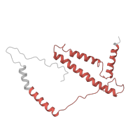 The deposited structure of PDB entry 6g72 contains 1 copy of Pfam domain PF10249 (NADH-ubiquinone oxidoreductase subunit 10) in NADH dehydrogenase [ubiquinone] 1 beta subcomplex subunit 10. Showing 1 copy in chain PA [auth p].