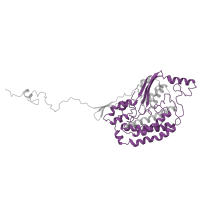 The deposited structure of PDB entry 6g72 contains 1 copy of Pfam domain PF00346 (Respiratory-chain NADH dehydrogenase, 49 Kd subunit) in NADH dehydrogenase [ubiquinone] iron-sulfur protein 2, mitochondrial. Showing 1 copy in chain D.