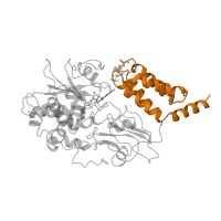 The deposited structure of PDB entry 6g72 contains 1 copy of CATH domain 1.20.1440.230 (de novo design (two linked rop proteins)) in NADH dehydrogenase [ubiquinone] flavoprotein 1, mitochondrial. Showing 1 copy in chain F.