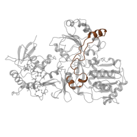 The deposited structure of PDB entry 6g72 contains 1 copy of Pfam domain PF09326 (NADH-ubiquinone oxidoreductase subunit G, C-terminal) in NADH-ubiquinone oxidoreductase 75 kDa subunit, mitochondrial. Showing 1 copy in chain G.