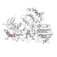 The deposited structure of PDB entry 6g72 contains 1 copy of Pfam domain PF10588 (NADH-ubiquinone oxidoreductase-G iron-sulfur binding region) in NADH-ubiquinone oxidoreductase 75 kDa subunit, mitochondrial. Showing 1 copy in chain G.