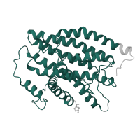 The deposited structure of PDB entry 6g72 contains 1 copy of Pfam domain PF00146 (NADH dehydrogenase) in NADH-ubiquinone oxidoreductase chain 1. Showing 1 copy in chain H.