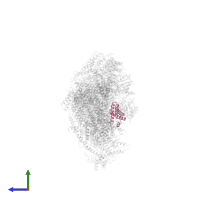 NADH dehydrogenase [ubiquinone] 1 alpha subcomplex subunit 11 in PDB entry 6g72, assembly 1, side view.