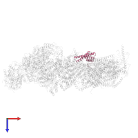 NADH dehydrogenase [ubiquinone] 1 alpha subcomplex subunit 11 in PDB entry 6g72, assembly 1, top view.