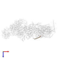 NADH dehydrogenase [ubiquinone] 1 subunit C1, mitochondrial in PDB entry 6g72, assembly 1, top view.