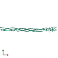 Homo trimeric assembly 1 of PDB entry 6gao coloured by chemically distinct molecules, front view.