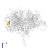 Large ribosomal subunit protein mL43 in PDB entry 6gaw, assembly 1, top view.