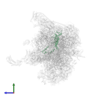 S5 DRBM domain-containing protein in PDB entry 6gaw, assembly 1, side view.