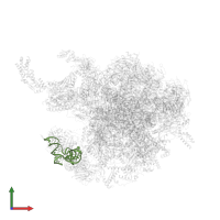 CP tRNAPhe, mitochondrial in PDB entry 6gb2, assembly 1, front view.